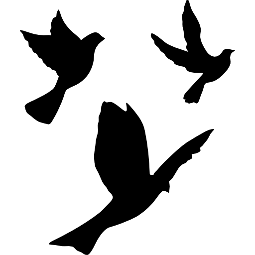 birds-img